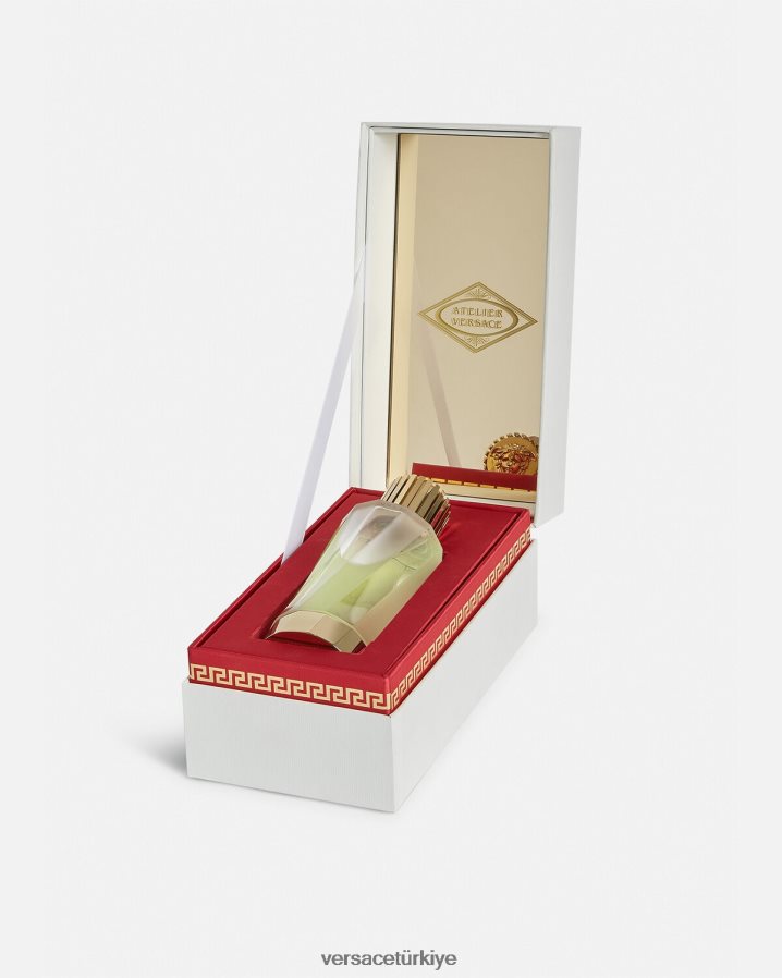 Versace cedrat de diamante edp 100 ml kadınlar yeşil Aksesuarlar B0HHR81012