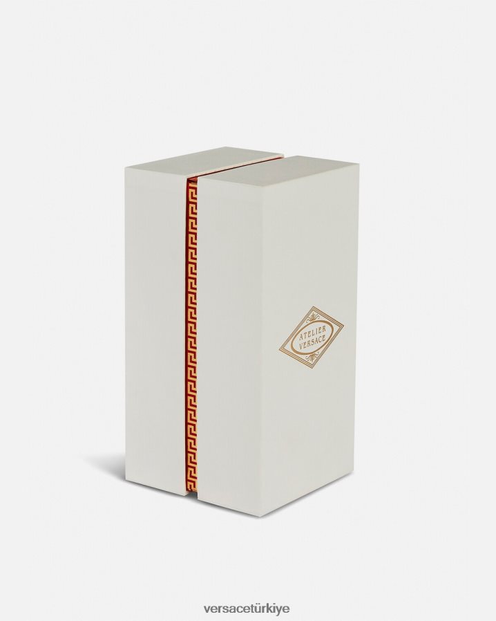 Versace cedrat de diamante edp 100 ml kadınlar yeşil Aksesuarlar B0HHR81012